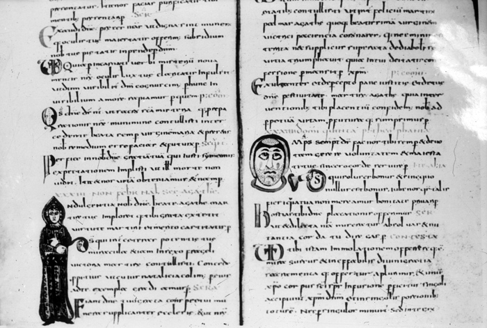 Millet No.: 1.P603.1 - lat. 12048 