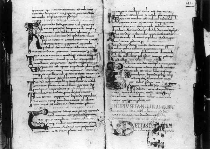 Millet No.: 1.P602.11 - lat. 12048 