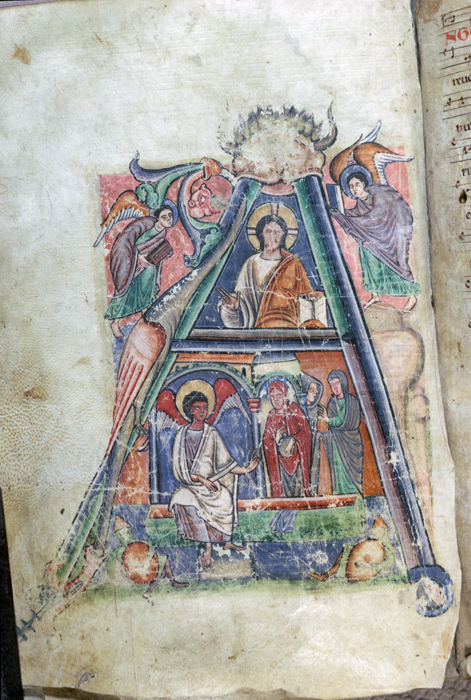 Millet No.: 1.P604.1 - lat. 17296 