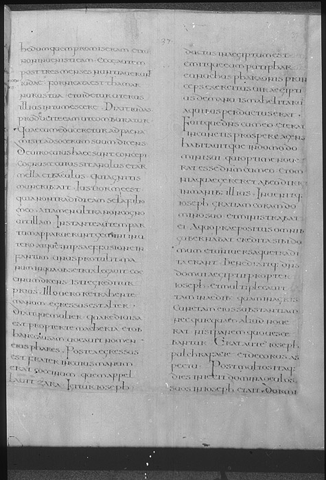 Millet No.: 1.P586.1 - n. acq. lat. 2334