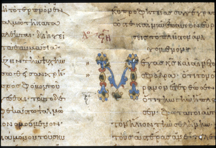 Millet No.: 1.P548.16 - gr. 654