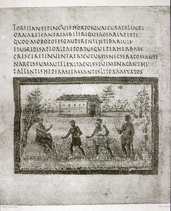 Millet No.: 1.V799.1 - lat.3225
