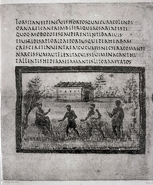 Millet No.: 1.V799.2 - lat.3225