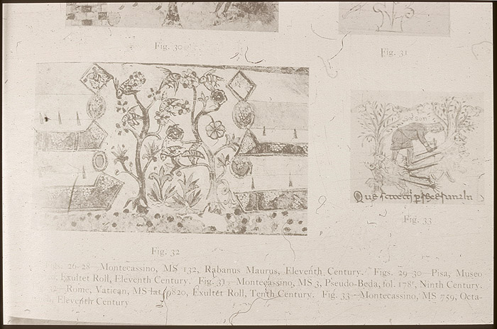Millet No.: 1.V805.1 - lat.9820