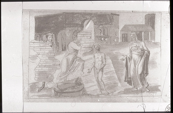 Millet No.: 1.V803.1 - lat.4406