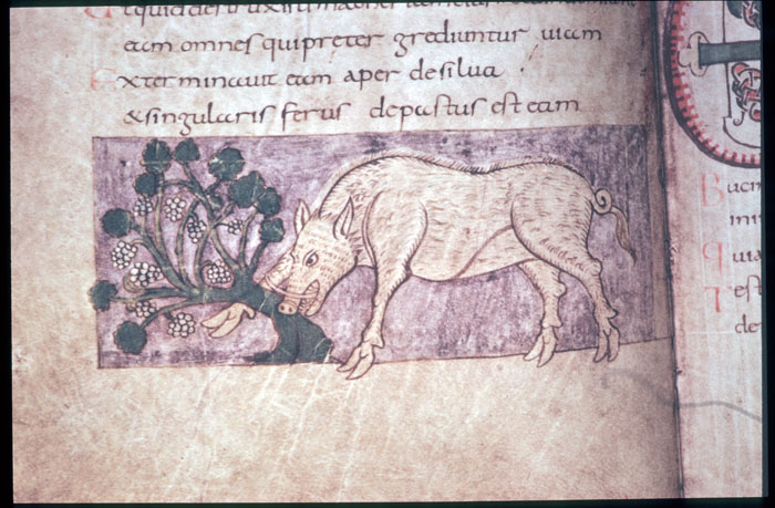 Millet No.: 1.S692.5 - Bibl. fol. 23
