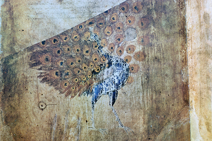 Millet No.: 1.V832.1 - Med.gr.1