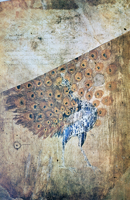 Millet No.: 1.V832.4 - Med.gr.1
