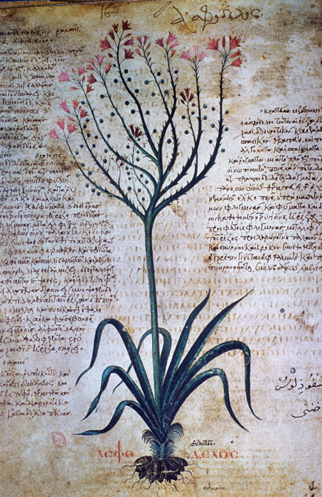 Millet No.: 1.V832.15 - Med.gr.1