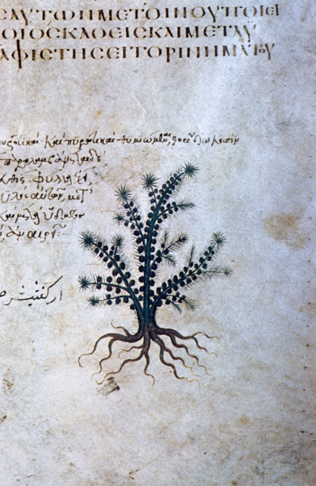 Millet No.: 1.V832.20 - Med.gr.1