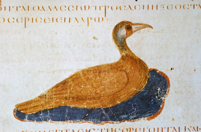 Millet No.: 1.V833.19 - Med.gr.1