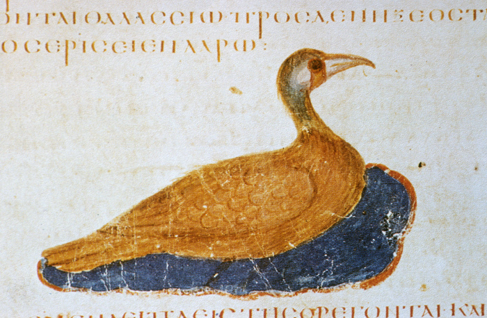 Millet No.: 1.V833.20 - Med.gr.1
