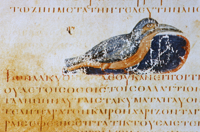 Millet No.: 1.V834.2 - Med.gr.1
