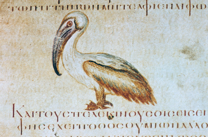 Millet No.: 1.V834.3 - Med.gr.1
