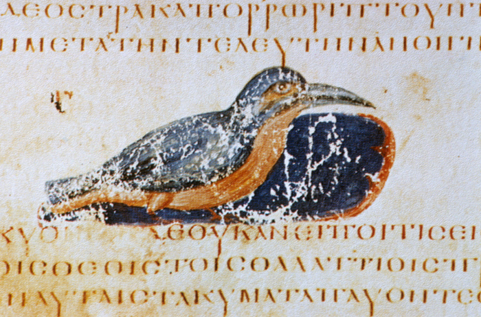 Millet No.: 1.V834.5 - Med.gr.1