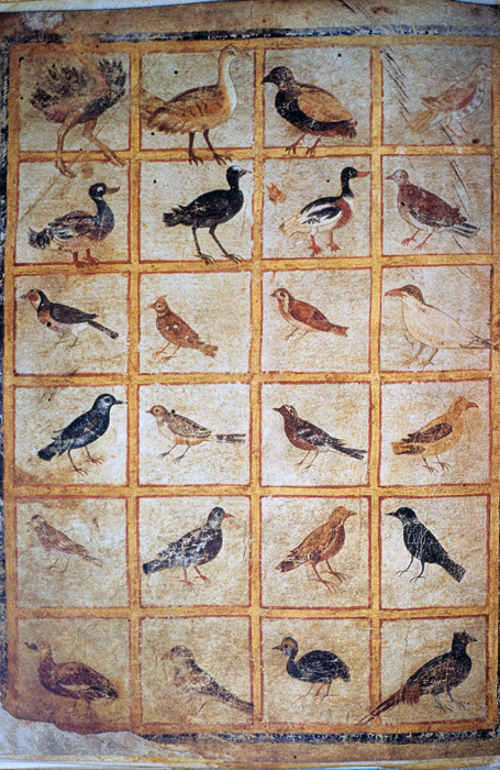 Millet No.: 1.V834.7 - Med.gr.1