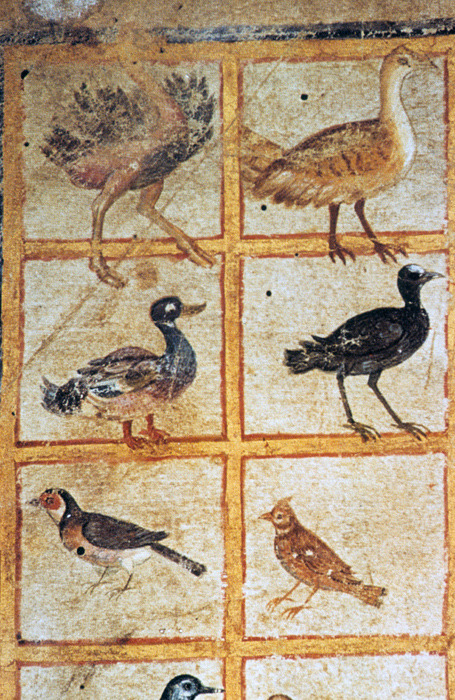 Millet No.: 1.V834.8 - Med.gr.1
