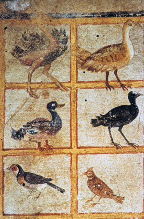 Millet No.: 1.V834.9 - Med.gr.1