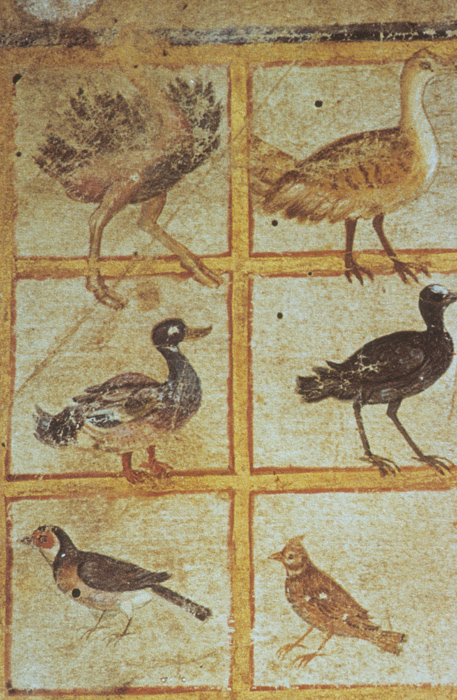 Millet No.: 1.V834.10 - Med.gr.1