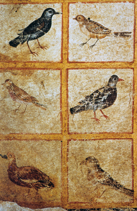 Millet No.: 1.V834.11 - Med.gr.1