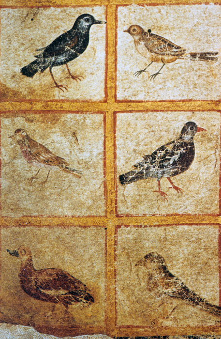 Millet No.: 1.V834.12 - Med.gr.1