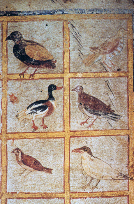 Millet No.: 1.V834.13 - Med.gr.1