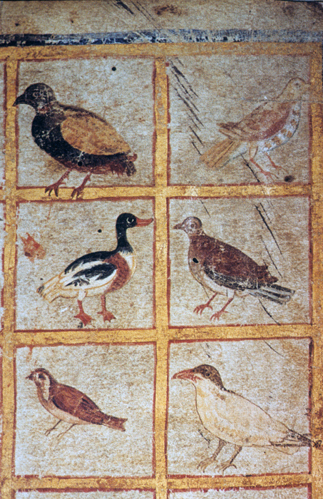 Millet No.: 1.V834.14 - Med.gr.1