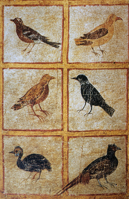 Millet No.: 1.V834.16 - Med.gr.1
