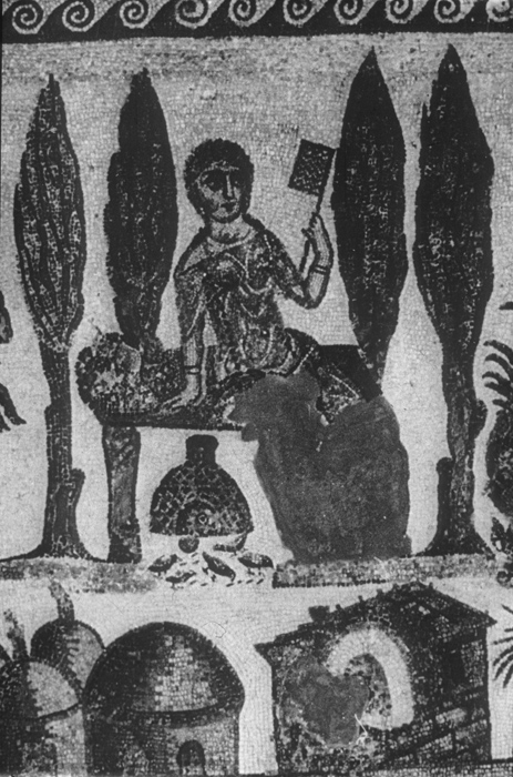 Millet No.: 2.A20.5 -  