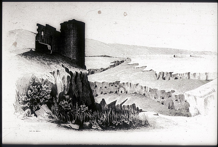 Millet No.: 2.A42.4 -  