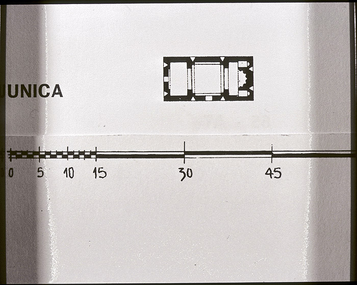 Millet No.: 2.A42.13 -  