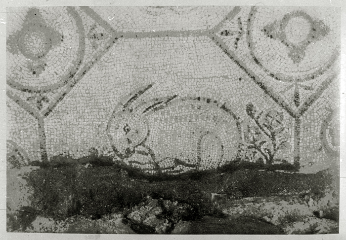 Millet No.: 2.A67.17 -  
