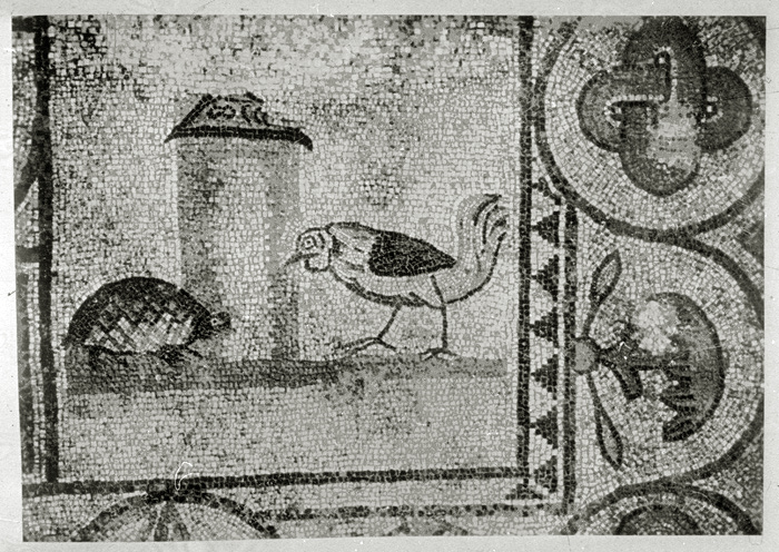 Millet No.: 2.A68.10 -  
