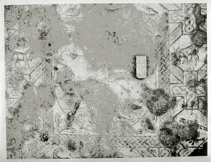 Millet No.: 2.A69.16 -  