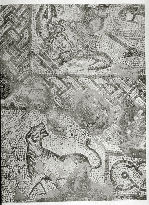 Millet No.: 2.A69.18 -  