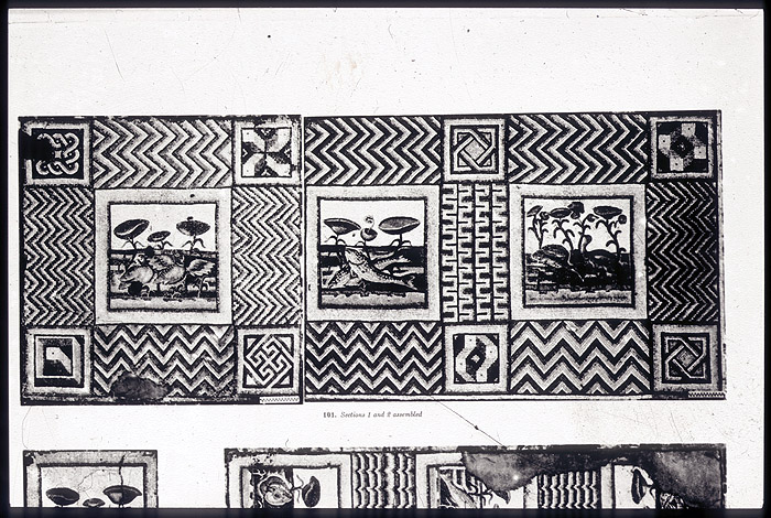 Millet No.: 2.A56.19 -  