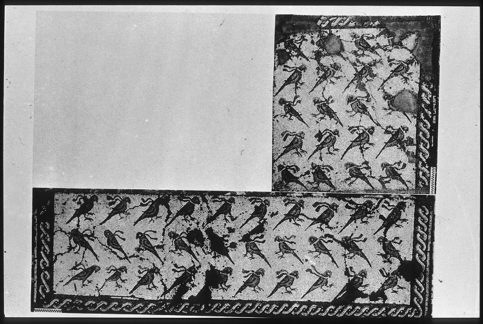 Millet No.: 2.A57.13 -  