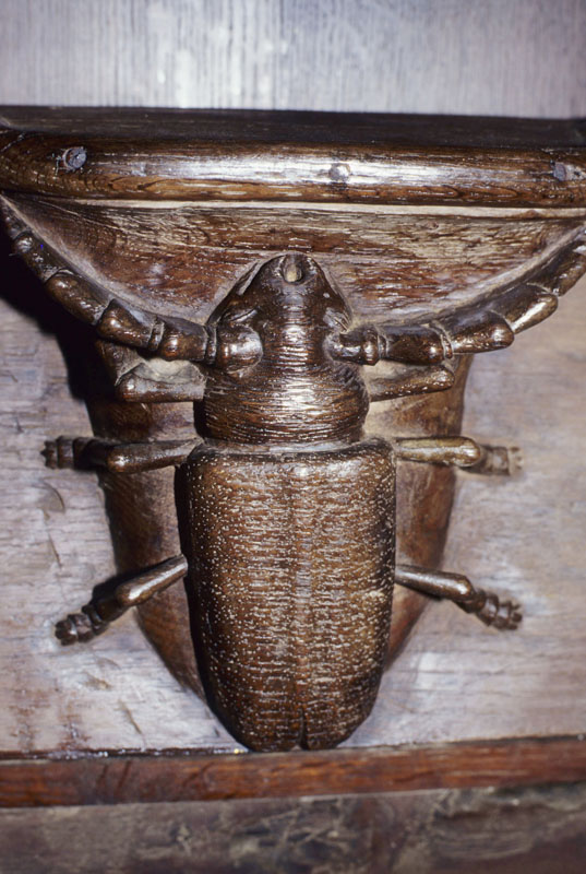 https://ima.princeton.edu/images/misericordia/france/ebfcoulanges-004.jpg