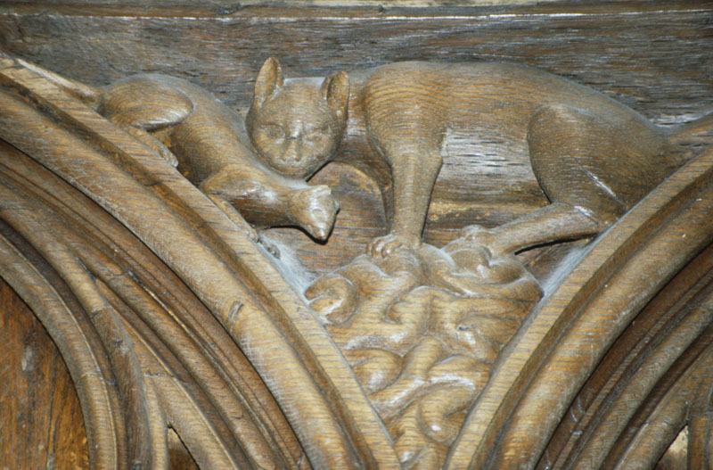 https://ima.princeton.edu/images/misericordia/france/ebfpoitiers-090.jpg