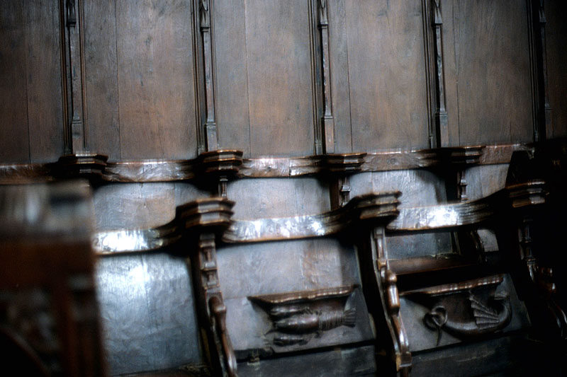 https://ima.princeton.edu/images/misericordia/france/ebfsallescuran-031.jpg