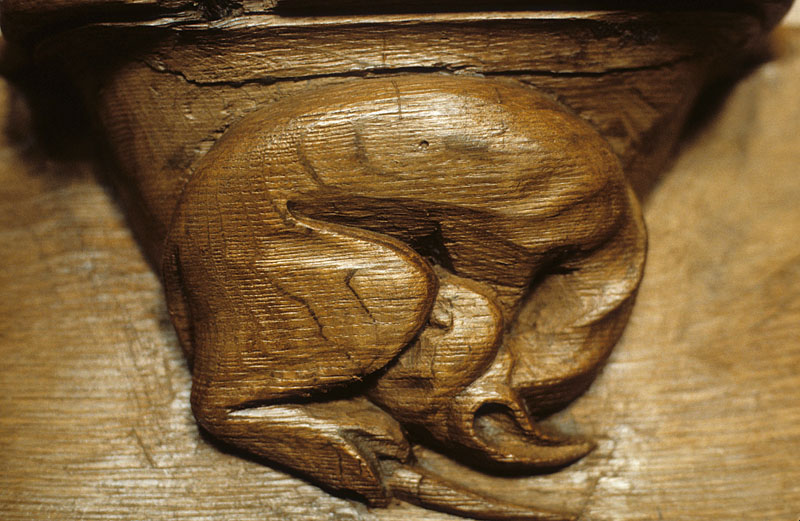 https://ima.princeton.edu/images/misericordia/france/ebfsolignac-040.jpg