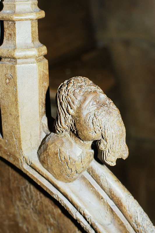 https://ima.princeton.edu/images/misericordia/france/ebfstecroix-013.jpg