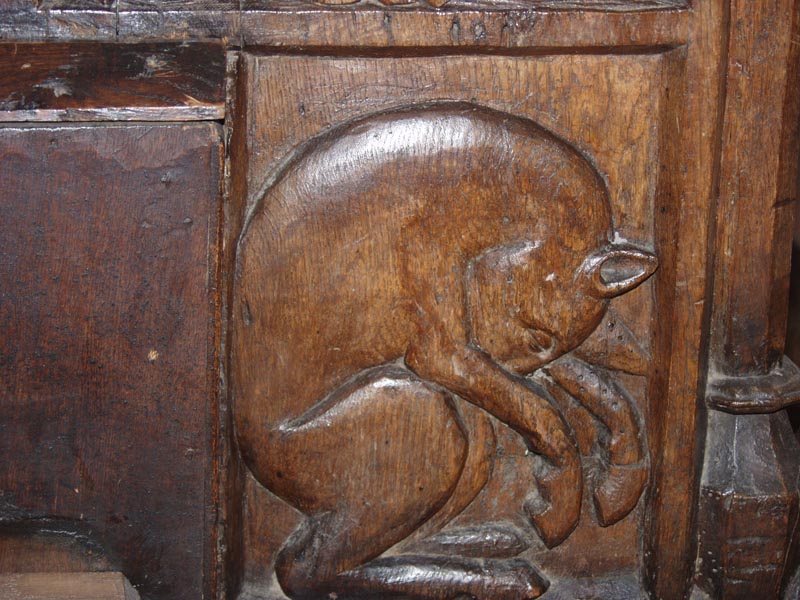 Ass, wood panel, Boppard, Sankt Severus, NB-2.