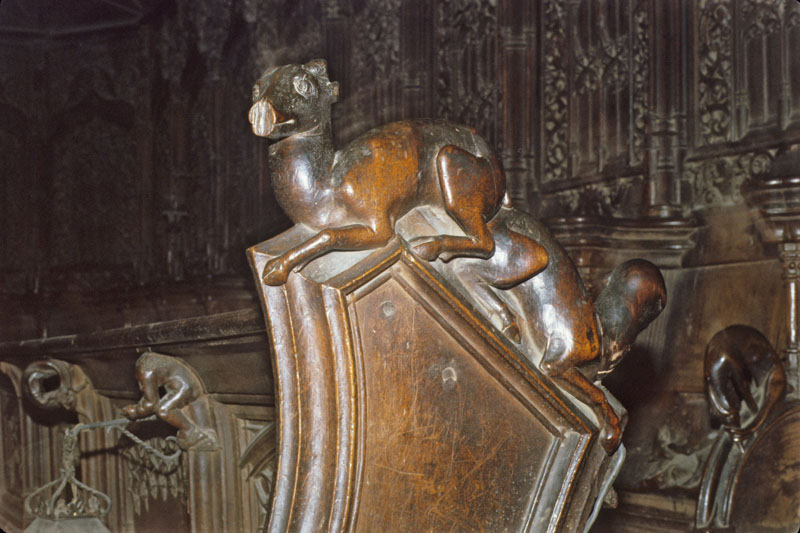 https://ima.princeton.edu/images/misericordia/spain/ebsciudadrodrigo-089.jpg