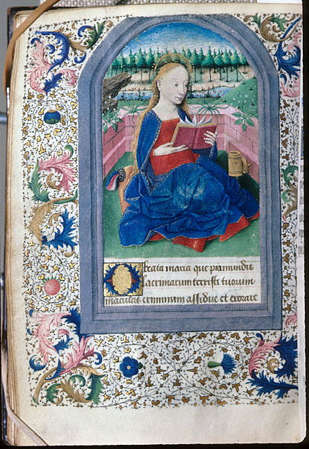 Virgin Mary, Book