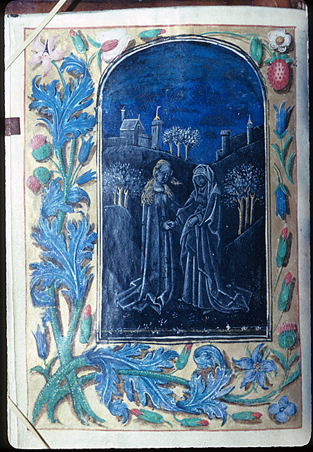 Virgin Mary, Visitation