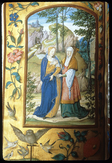 Virgin Mary, Visitation