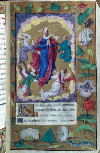 Virgin Mary, Assumption