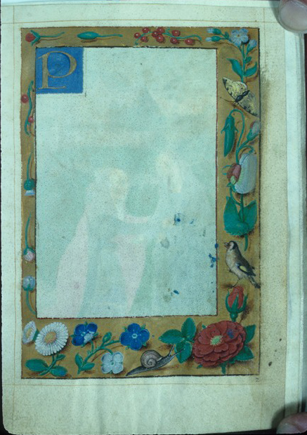 Floreate Border