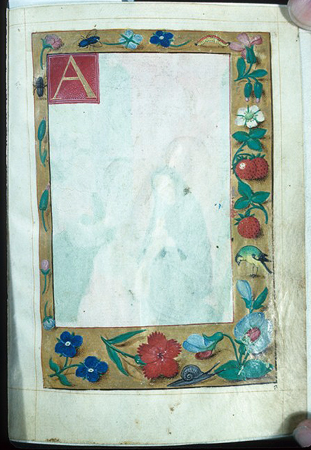 Floreate Border